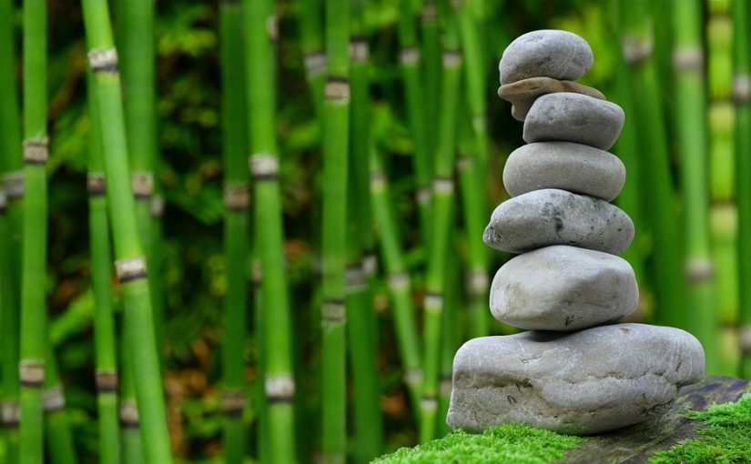 Ładny oraz schludny zieleniec to zasługa wielu godzin spędzonych  w jego zaciszu podczas pielegnacji.