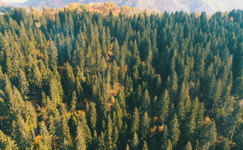 Szambo – Istotne Dla Dobrej kondycji i Środowiska: Funkcje, Dbanie, Transport. Troszczmy się o Nasze Otoczenie, Zauważmy Istotę Systemu Odprowadzania ścieków.