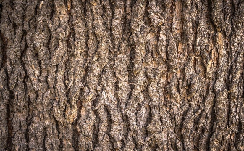 Piękny oraz {zadbany ogród to nie lada wyzwanie, zwłaszcza jak jego konserwacją zajmujemy się sami.