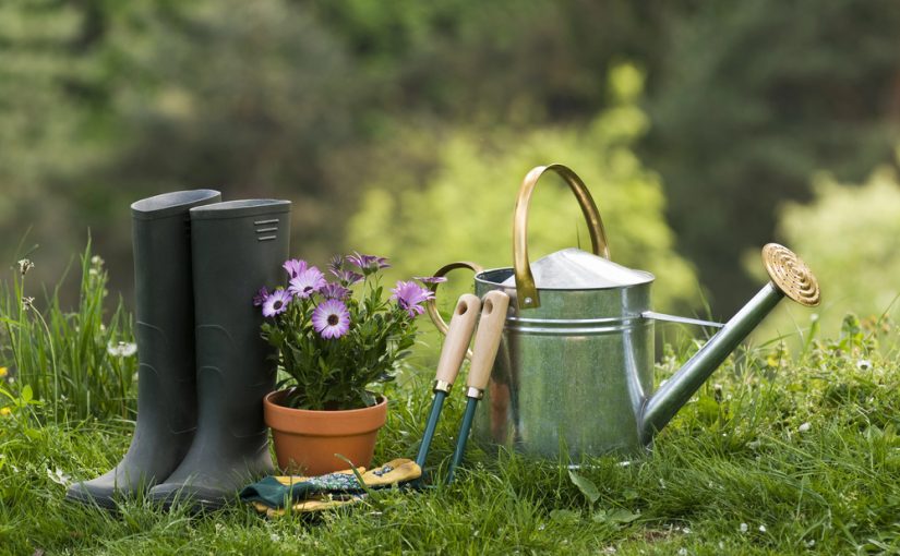 Jak stworzyć przydomowy teren? Kompleksowy poradnik dla miłośników architektury krajobrazu